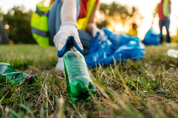Yard Cleanup Services in Delevan, NY